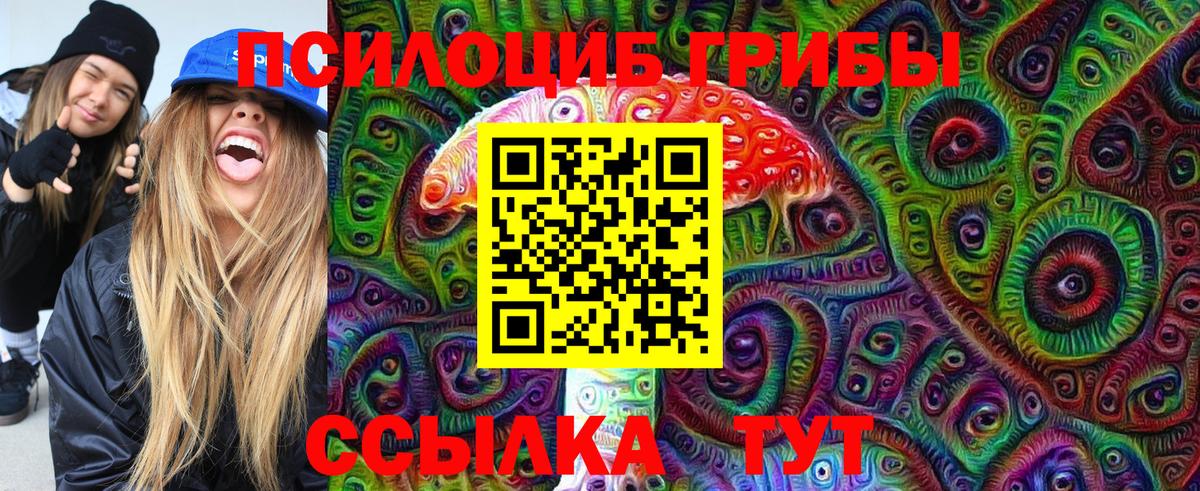 Галлюциногенные грибы Magic Shrooms  Вход с VPN  Азнакаево  Псилоцибиновые грибы Psilocybine cubensis 
